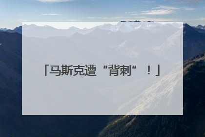 马斯克遭“背刺”！